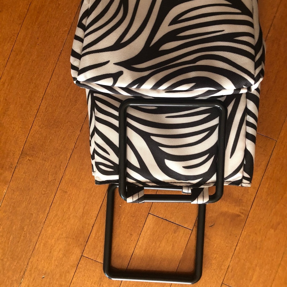 Zebra lunchbox new
